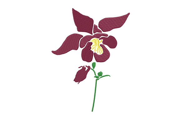 Burgundy Columbine Flower: A Touch of Elegance
