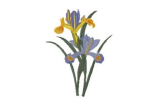 Elegant Iris Beauty for Seasonal Embroidery