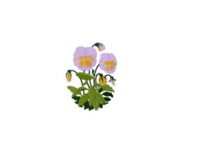 Pansy: A Charming Addition to Your Embroidery Collection
