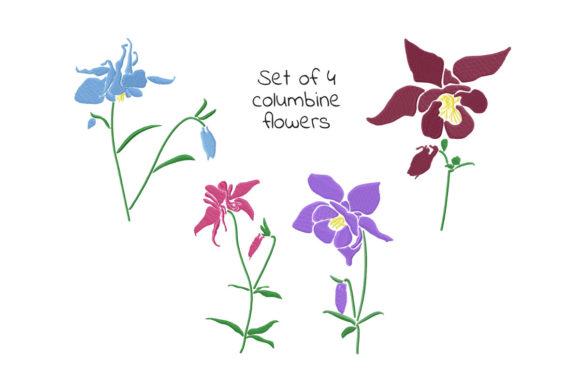 Set of Columbine Flowers: A Designer's Review