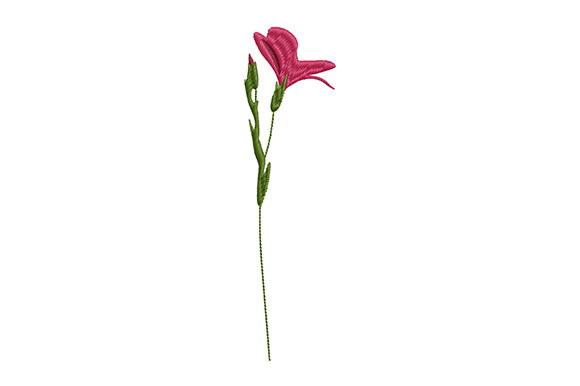 Wild Flower on a Thin Stem: A Seasonal Delight