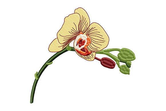 Yellow Orchid Bud Flower: A Premium Embroidery Design